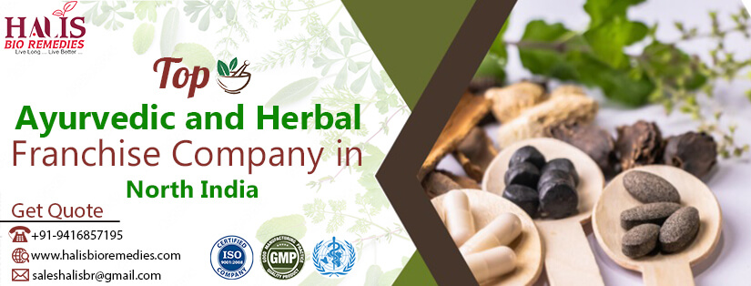 Top Ayurvedic franchise company in North India