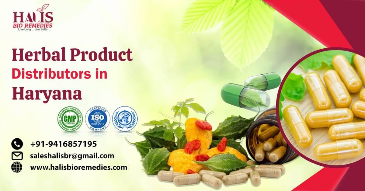 Elevate Your Business With Herbal Product Distributors in Haryana | Topmost Ayurvedic and Herbal PCD Franchise Company in India